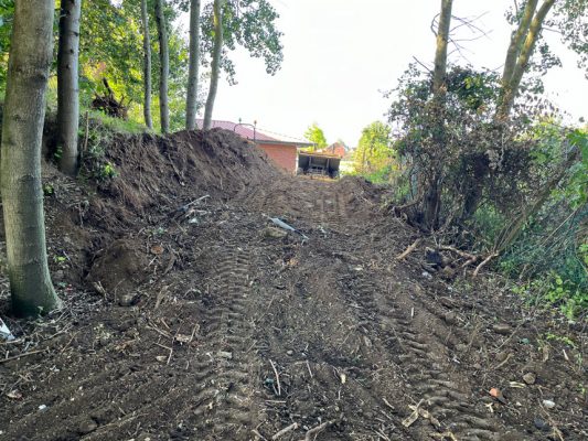 Woodland pathway excavation and tree removal in Elmswell